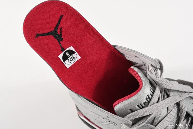 Jordan Cardinal BV6281-006 7 Air Reflective 0701